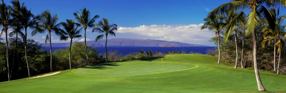 Palm trees in a golf course Wailea Emerald Course Maui Hawaii USA Canvas Art - Panoramic Images (27 x 9)