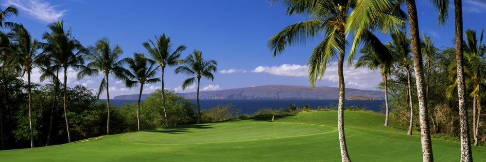 Palm trees in a golf course Wailea Emerald Course Maui Hawaii USA Canvas Art - Panoramic Images (36 x 12)