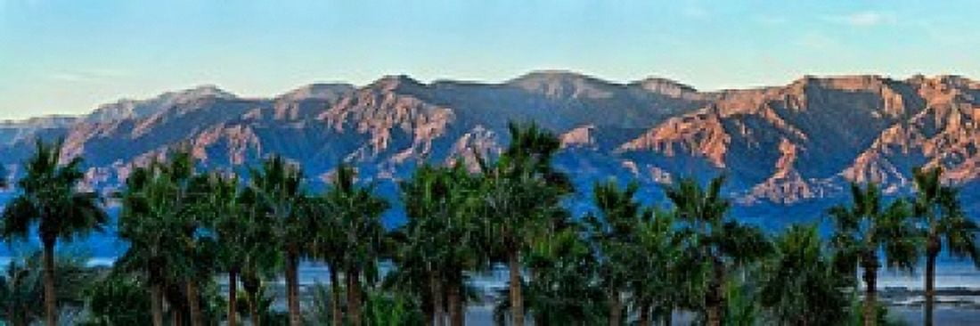 Palm trees with mountain range in the background Furnace Creek Inn Death Valley Death Valley National Park California USA Canvas Art - Panoramic Images (36 x 12)
