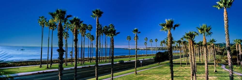 Palm trees near the beach Santa Barbara California USA Canvas Art - Panoramic Images (12 x 36)