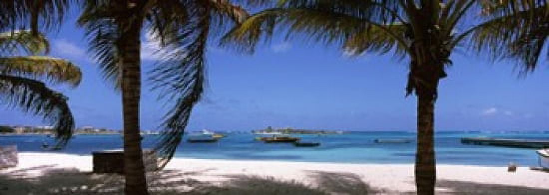 Palm trees on the beach Anguilla Canvas Art - Panoramic Images (36 x 13)