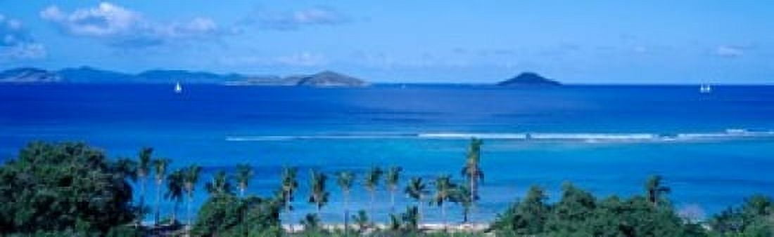 Palm trees on the beach British Virgin Islands Canvas Art - Panoramic Images (18 x 6)