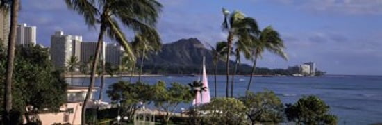 Palm trees on the beach Diamond Head Waikiki Beach Oahu Honolulu Hawaii USA Canvas Art - Panoramic Images (36 x 12)