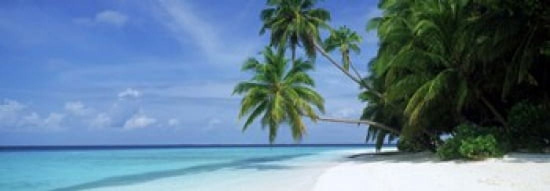 Palm trees on the beach Fihalhohi Island Maldives Canvas Art - Panoramic Images (18 x 7)