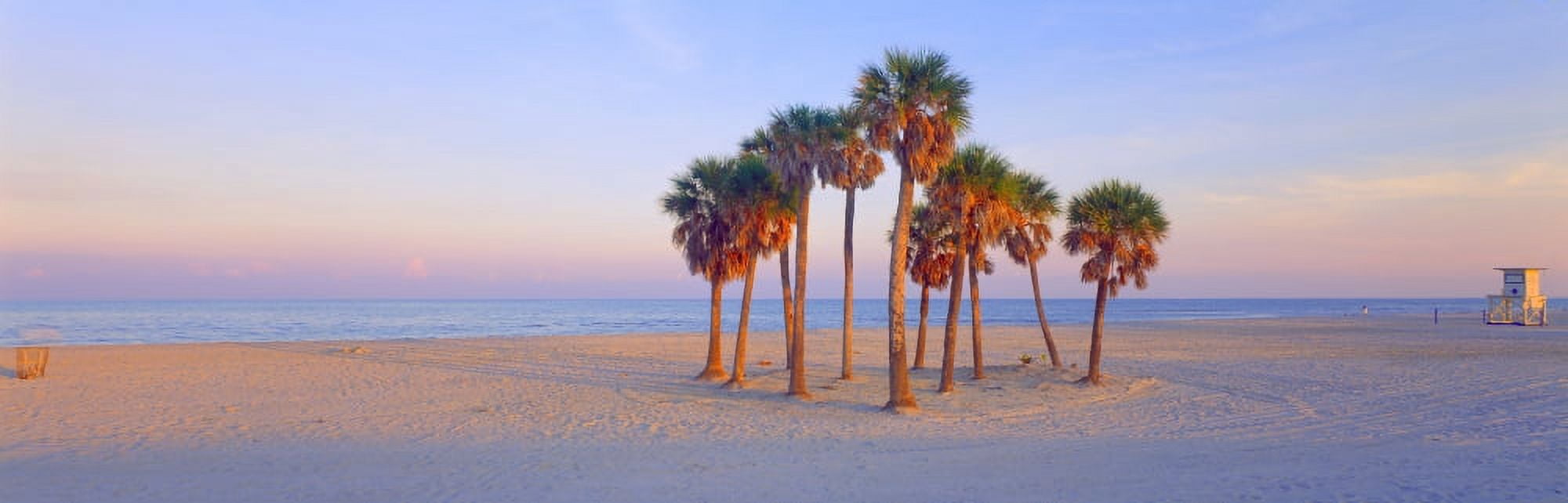 Palm trees on the beach Florida USA Canvas Art - Panoramic Images (27 x 9)