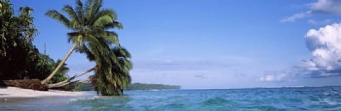 Palm trees on the beach Indonesia Canvas Art - Panoramic Images (18 x 6)