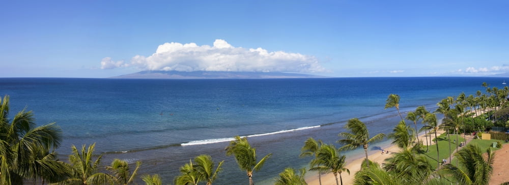 Palm trees on the beach Kaanapali Maui Hawaii USA Canvas Art - Panoramic Images (27 x 9)