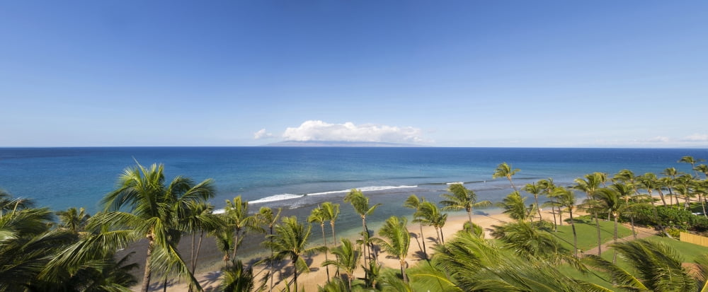 Palm trees on the beach Kaanapali Maui Hawaii USA Canvas Art - Panoramic Images (36 x 12)