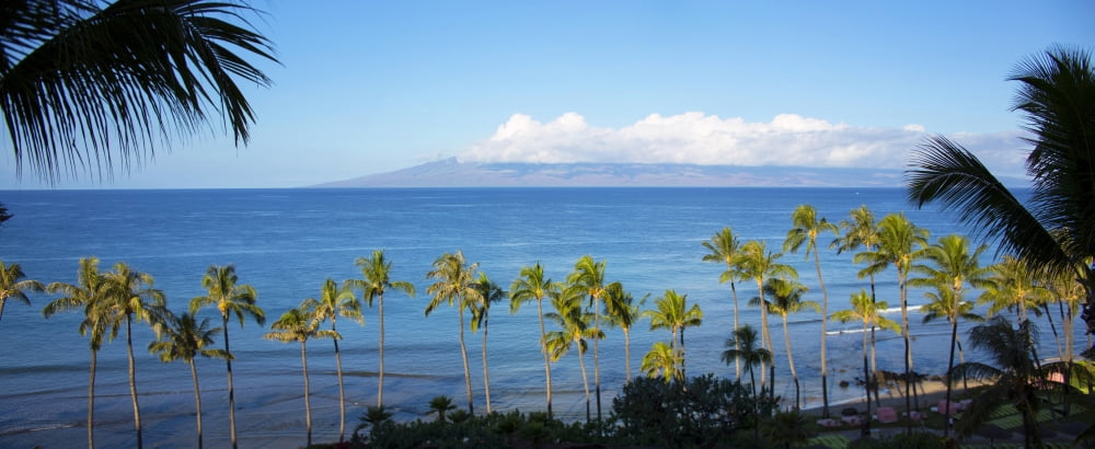 Palm trees on the beach Kaanapali Maui Hawaii USA Canvas Art - Panoramic Images (36 x 12)