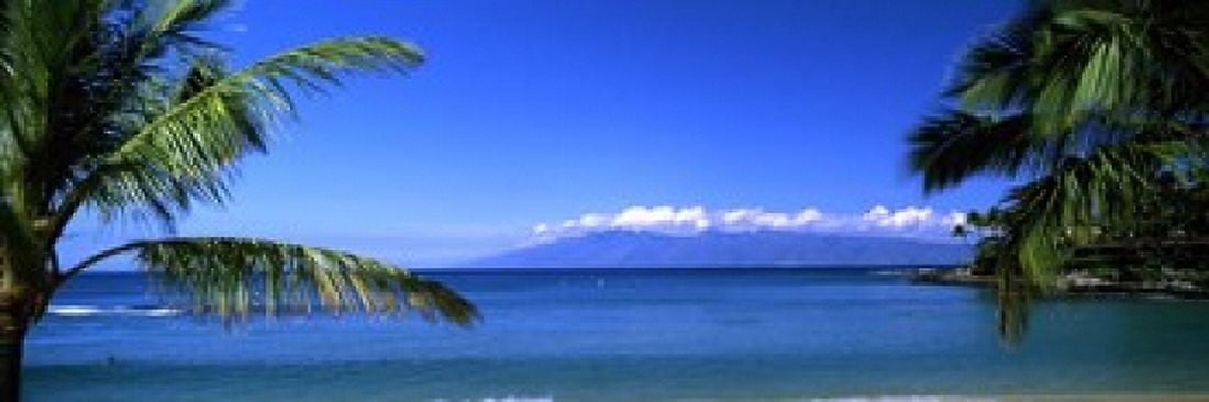 Palm trees on the beach Kapalua Beach Molokai Maui Hawaii USA Canvas Art - Panoramic Images (18 x 6)