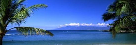 Palm trees on the beach Kapalua Beach Molokai Maui Hawaii USA Canvas Art - Panoramic Images (36 x 12)