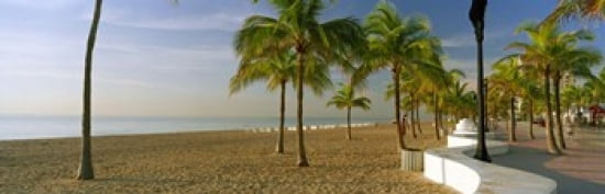 Palm trees on the beach Las Olas Boulevard Fort Lauderdale Florida USA Canvas Art - Panoramic Images (36 x 12)