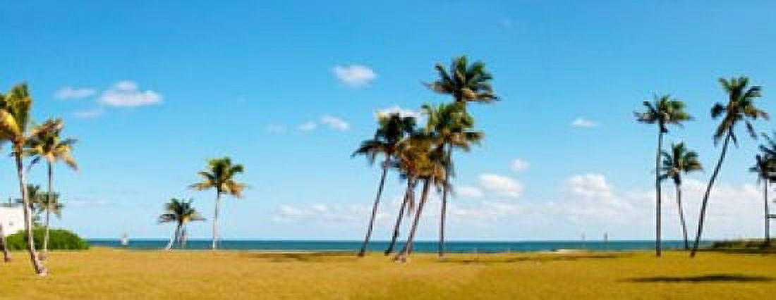 Palm trees on the beach Lauderdale Florida USA Canvas Art - Panoramic Images (30 x 12)