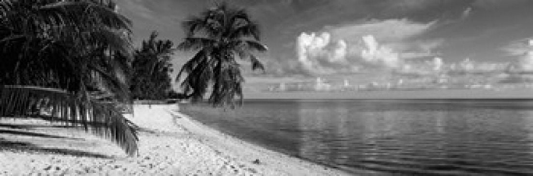 Palm trees on the beach Matira Beach Bora Bora French Polynesia Canvas Art - Panoramic Images (18 x 6)