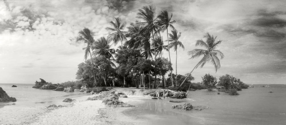 Palm trees on the beach Morro De Sao Paulo Tinhare Cairu Bahia Brazil Canvas Art - Panoramic Images (27 x 9)