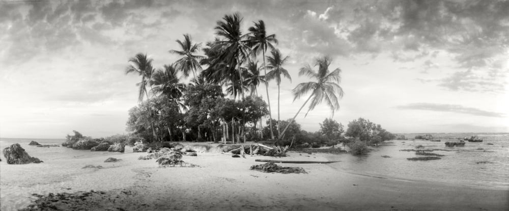 Palm trees on the beach Morro De Sao Paulo Tinhare Cairu Bahia Brazil Canvas Art - Panoramic Images (36 x 12)
