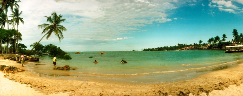 Palm trees on the beach Morro De Sao Paulo Tinhare Cairu Bahia Brazil Canvas Art - Panoramic Images (36 x 12)