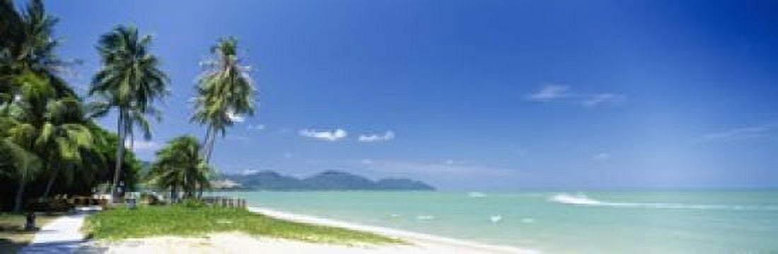 Palm trees on the beach Penang State Malaysia Canvas Art - Panoramic Images (18 x 6)