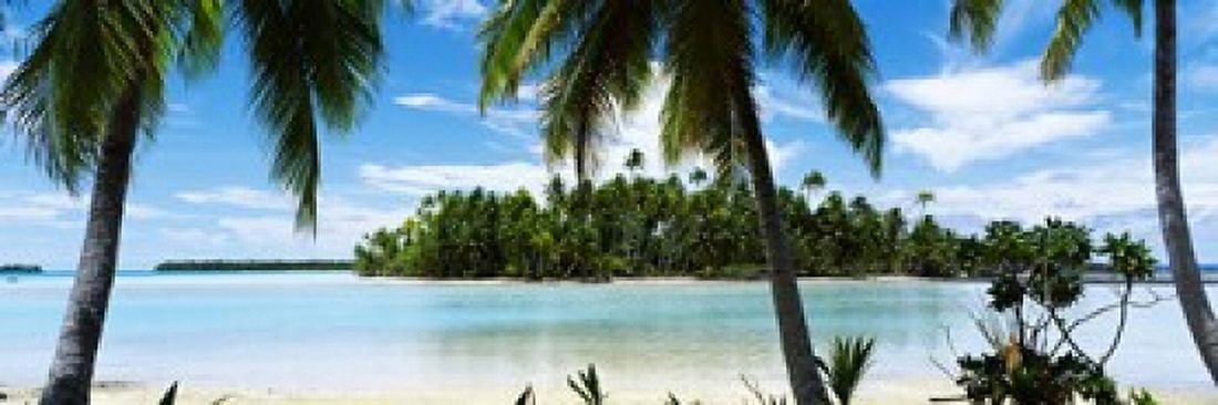 Palm trees on the beach Rangiroa Atoll French Polynesia Canvas Art - Panoramic Images (36 x 12)
