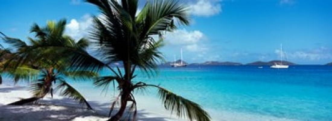 Palm trees on the beach Salomon Beach Virgin Islands National Park St John US Virgin Islands Canvas Art - Panoramic Images (18 x 7)