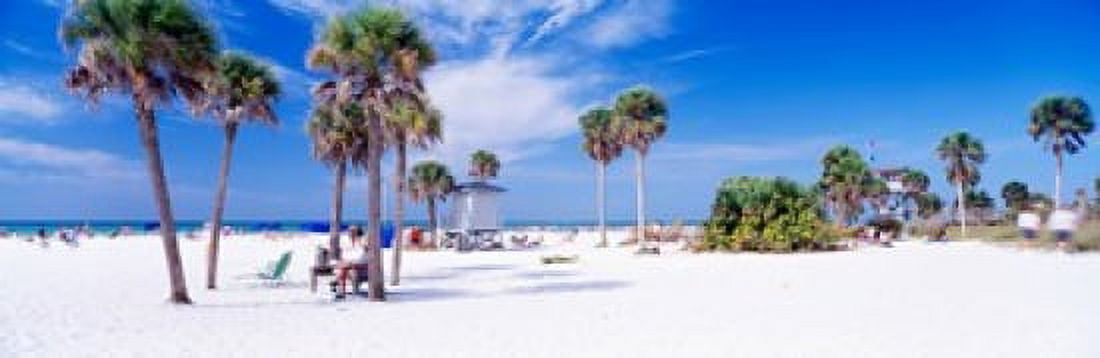 Palm trees on the beach Siesta Key Gulf of Mexico Florida USA Canvas Art - Panoramic Images (18 x 6)