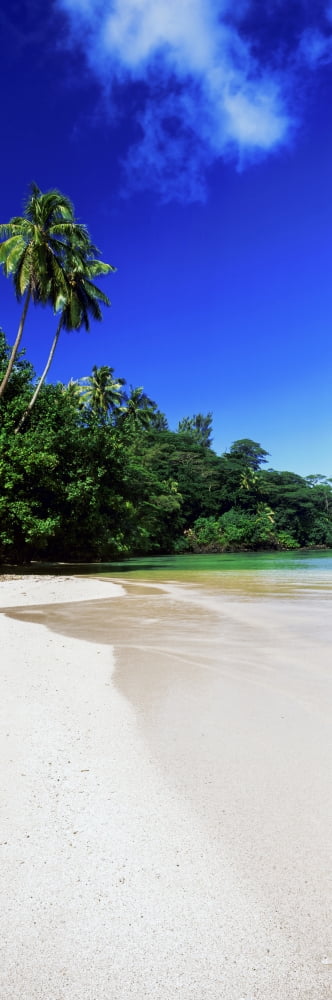 Palm trees on the beach Tahiti French Polynesia Canvas Art - Panoramic Images (27 x 9)