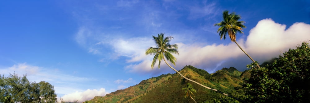 Palm trees on the beach Tahiti French Polynesia Canvas Art - Panoramic Images (36 x 12)