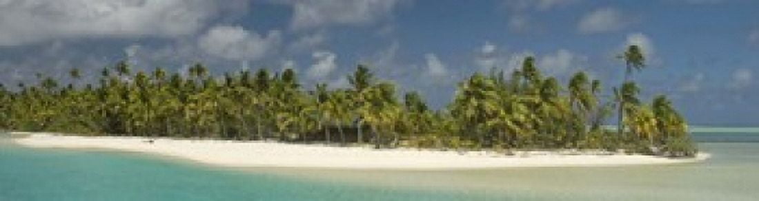 Palm trees on the beach Tapuaetai Motu Aitutaki Cook Islands Canvas Art - Panoramic Images (21 x 6)