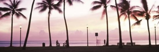 Palm trees on the beach Waikiki Honolulu Oahu Hawaii USA Canvas Art - Panoramic Images (36 x 12)