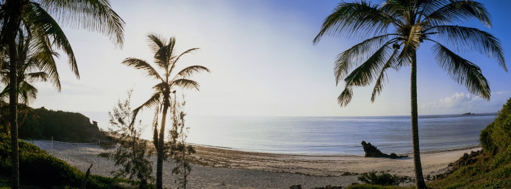 Palm trees on the beach Watamu Kenya Canvas Art - Panoramic Images (27 x 9)