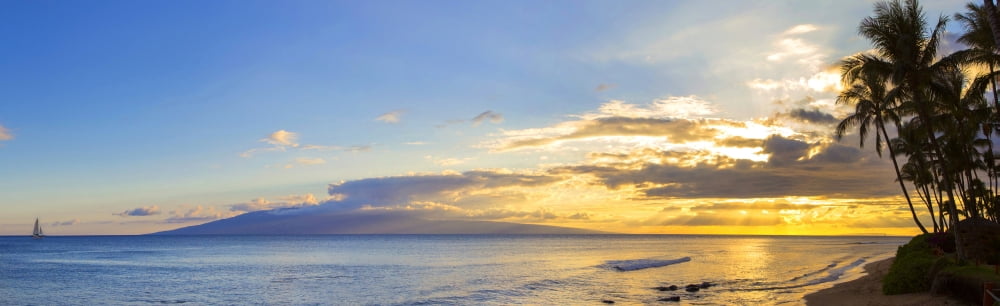 Palm trees on the beach at dusk Kaanapali Maui Hawaii USA Canvas Art - Panoramic Images (27 x 9)