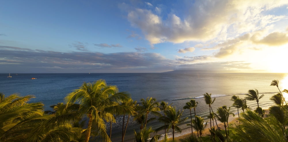 Palm trees on the beach at dusk Kaanapali Maui Hawaii USA Canvas Art - Panoramic Images (27 x 9)