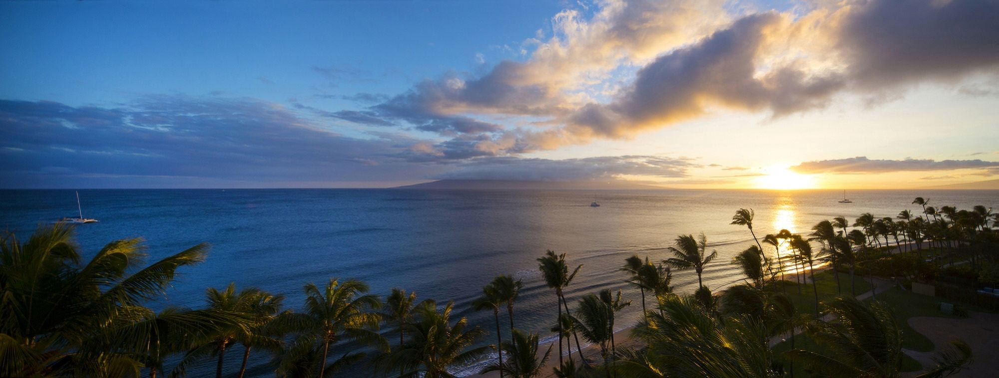 Palm trees on the beach at dusk Kaanapali Maui Hawaii USA Canvas Art - Panoramic Images (27 x 9)