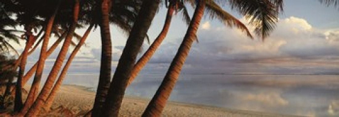 Palm trees on the beach at sunset Rarotonga Cook Islands Canvas Art - Panoramic Images (18 x 7)
