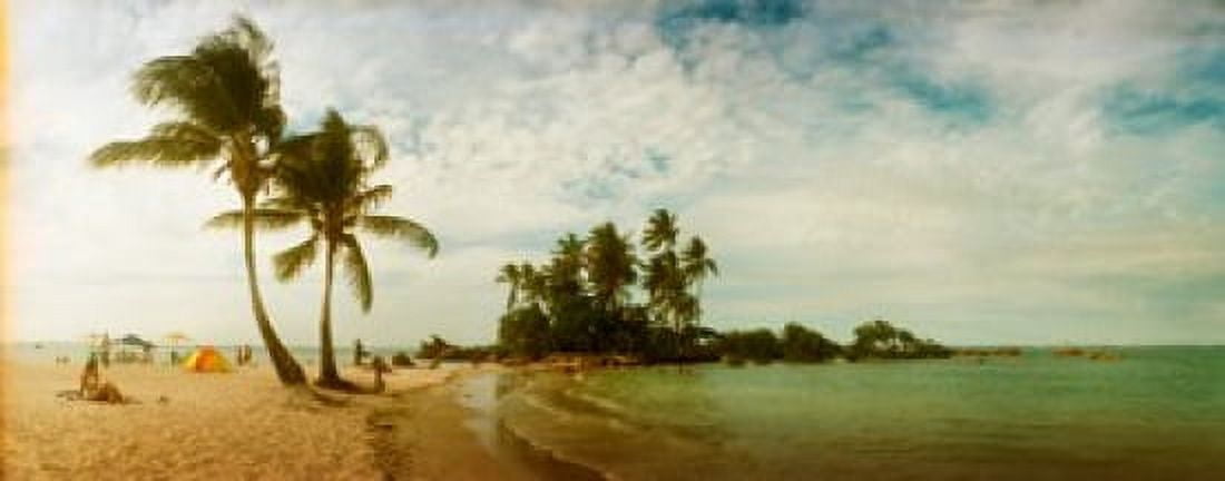 Palm trees on the beach in Morro De Sao Paulo Tinhare Cairu Bahia Brazil Canvas Art - Panoramic Images (15 x 6)