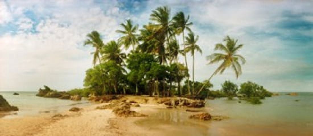 Palm trees on the beach in Morro De Sao Paulo Tinhare Cairu Bahia Brazil Canvas Art - Panoramic Images (15 x 7)