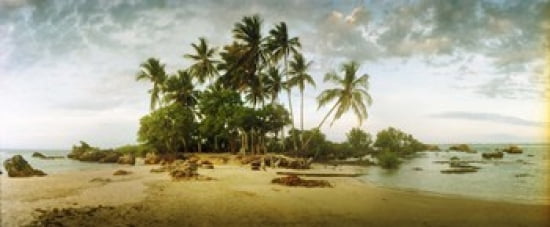 Palm trees on the beach in Morro De Sao Paulo Tinhare Cairu Bahia Brazil Canvas Art - Panoramic Images (30 x 13)