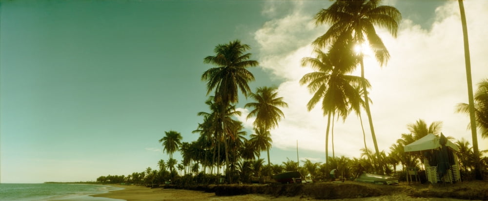 Palm trees on the beach in Morro De Sao Paulo Tinhare Cairu Bahia Brazil Canvas Art - Panoramic Images (36 x 12)