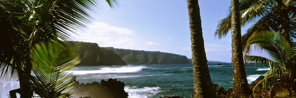 Palm trees on the beach near Hana Maui Hawaii USA Canvas Art - Panoramic Images (36 x 12)
