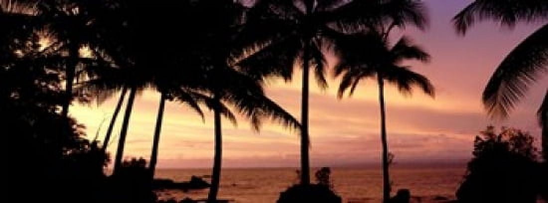 Palm trees on the coast Colombia Canvas Art - Panoramic Images (15 x 6)