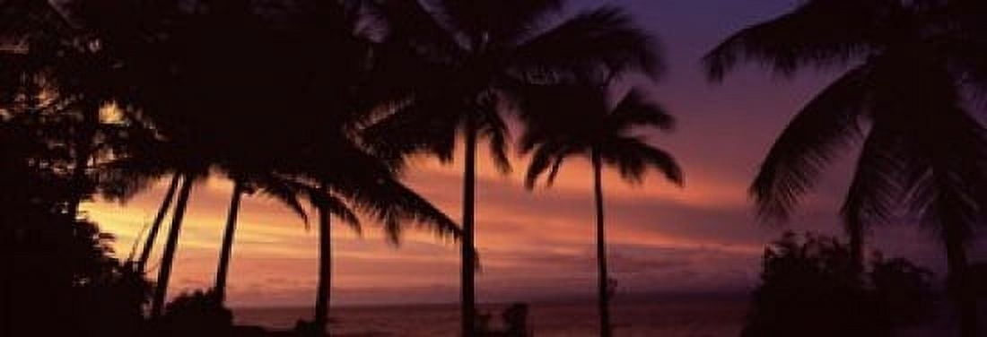 Palm trees on the coast Colombia Canvas Art - Panoramic Images (18 x 7)