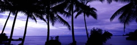 Palm trees on the coast Colombia Canvas Art - Panoramic Images (36 x 12)
