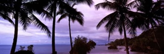Palm trees on the coast Colombia Canvas Art - Panoramic Images (36 x 12)