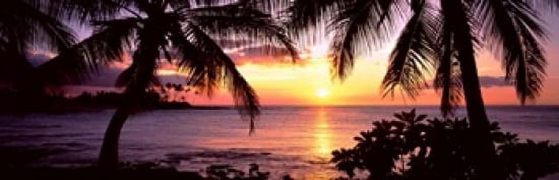 Palm trees on the coast Kohala Coast Big Island Hawaii USA Canvas Art - Panoramic Images (18 x 6)