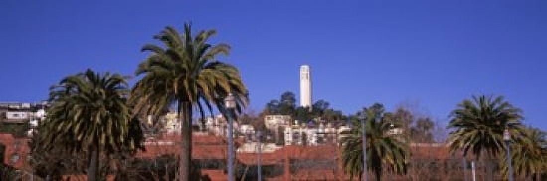 Palm trees with Coit Tower in background San Francisco California USA Canvas Art - Panoramic Images (18 x 6)