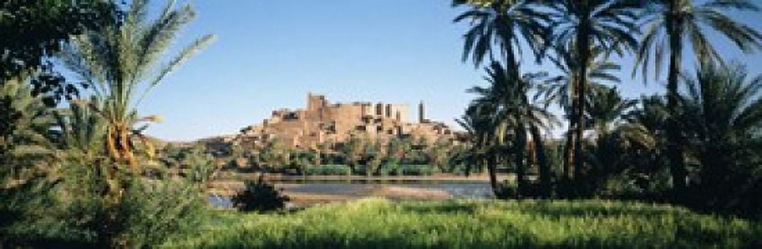 Palm trees with a fortress in the background Tiffoultoute Ouarzazate Marrakesh Morocco Canvas Art - Panoramic Images (18 x 6)