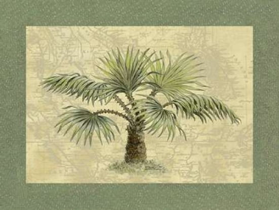Palmas Isle Canvas Art - Janet Kruskamp (20 x 28)