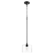 Palmers Lawns 1 Light Pendant in Soft Contemporary Style 8 inches Wide By 7.5 inches High-Noir Finish Bailey Street Home 183-Bel-4350662