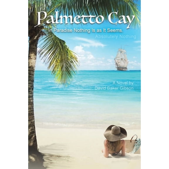 Palmetto Cay, (Paperback)