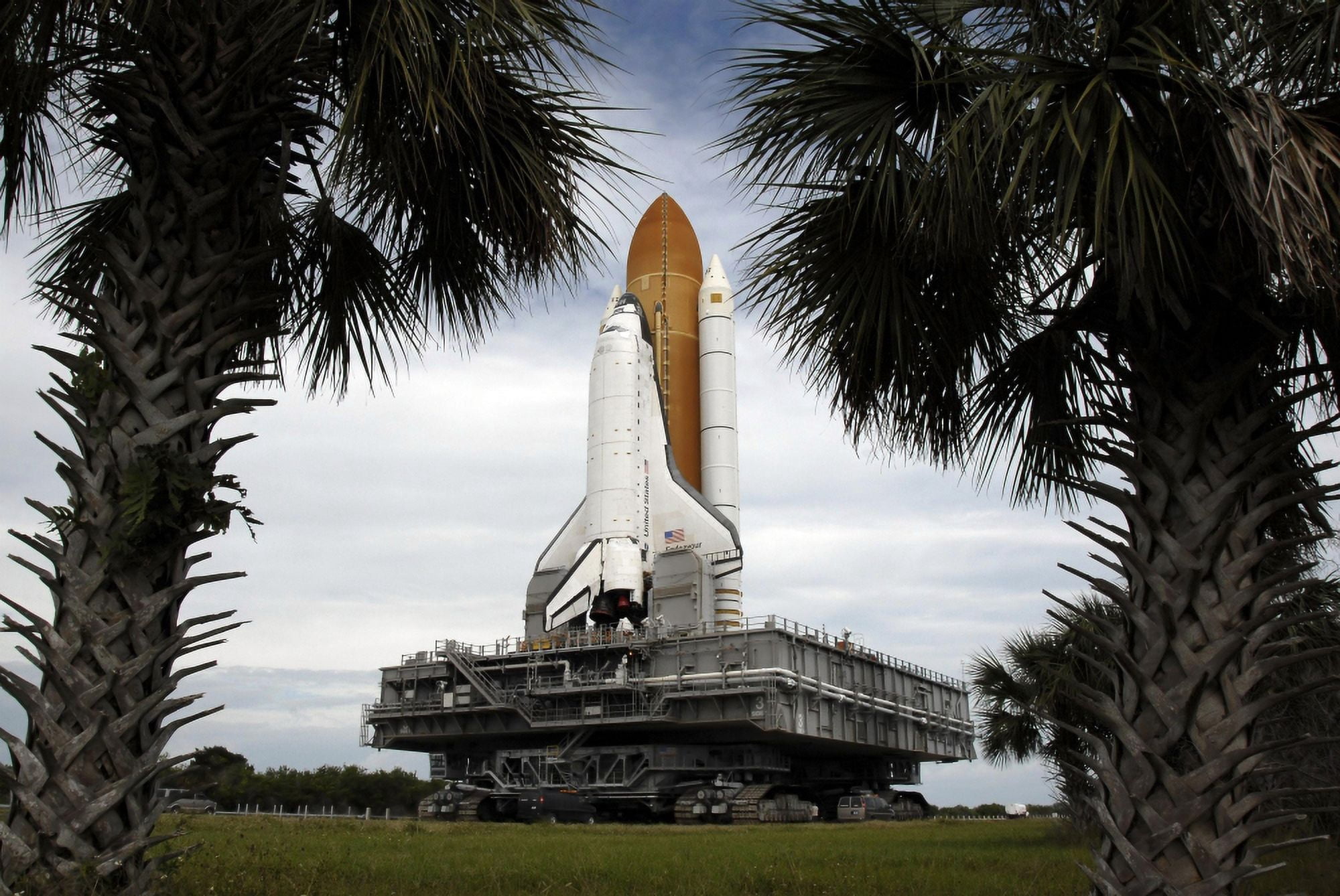 Palmetto trees frame space shuttle Endeavour as it rolls toward the launch pad Canvas Art - Stocktrek Images (34 x 23)